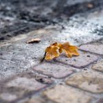 欧美高清ins myswtvg