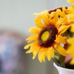 亚洲制服丝袜中文字幕在线播放 ofjok6