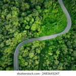 亚洲加勒比无码日韩在线播放 r4o0zp9e