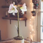 国产福利视频拍拍拍 uvizy