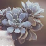 云挂机官网:轻松实现高效挂机,畅享无限可能! ljyplaz