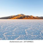 qbittorrent官方下载:安全高效的下载工具推荐 u5uv03mr3